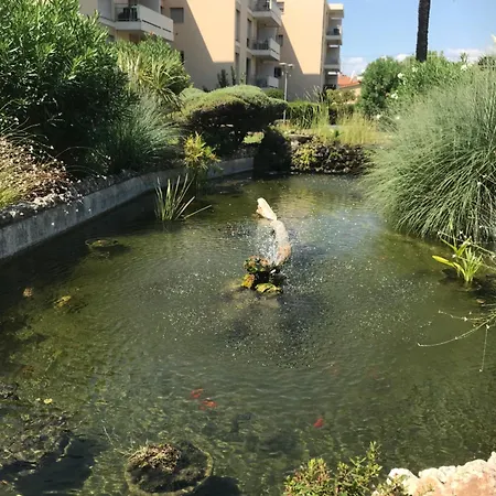 Studette Pointe Croisette - Axelle Loc'appart 公寓