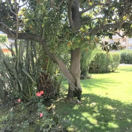 公寓 Studette Pointe Croisette - Axelle Loc'appart 戛纳