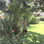 Apartamento Studette Pointe Croisette - Axelle Loc'appart Cannes